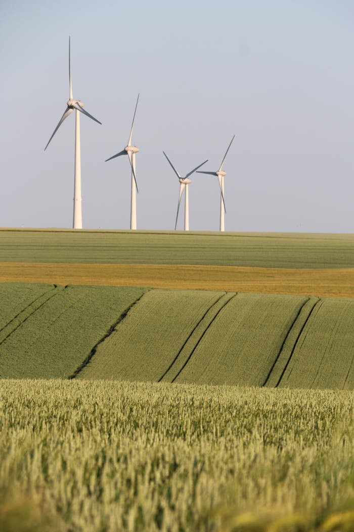 Wind turbines in the countryside generate eco-friendly energy amid vast fields.