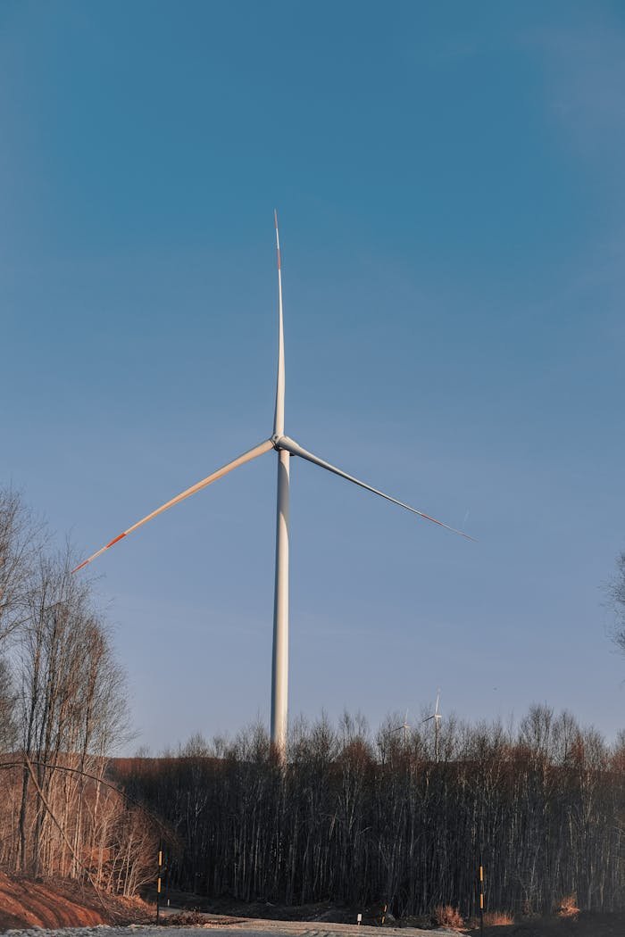 Wind turbine standing tall amidst a serene forest under a clear blue sky.
